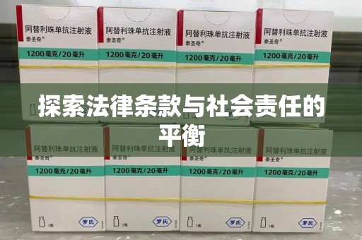 三亚探索法律条款与社会责任的平衡