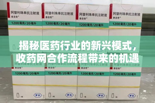 三亚揭秘医药行业的新兴模式，收药网合作流程带来的机遇与挑战