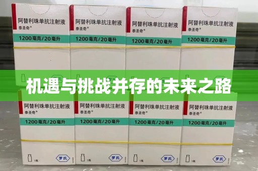 三亚机遇与挑战并存的未来之路