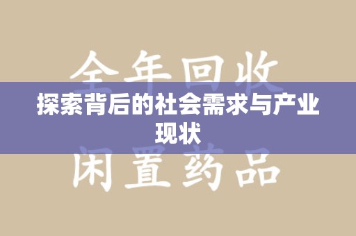 三亚探索背后的社会需求与产业现状