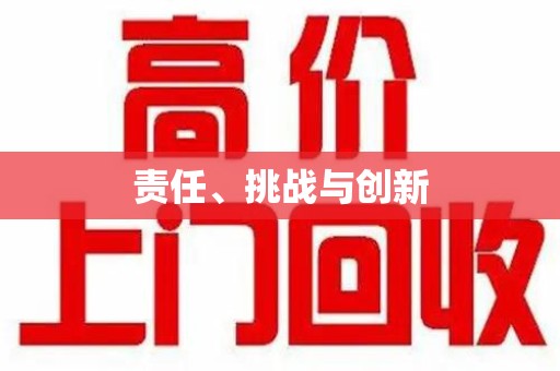 三亚责任、挑战与创新