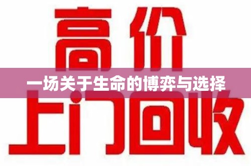 三亚一场关于生命的博弈与选择