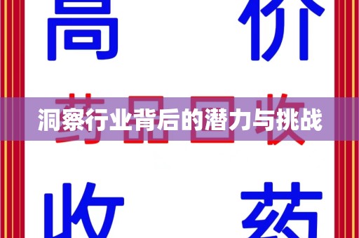 三亚洞察行业背后的潜力与挑战