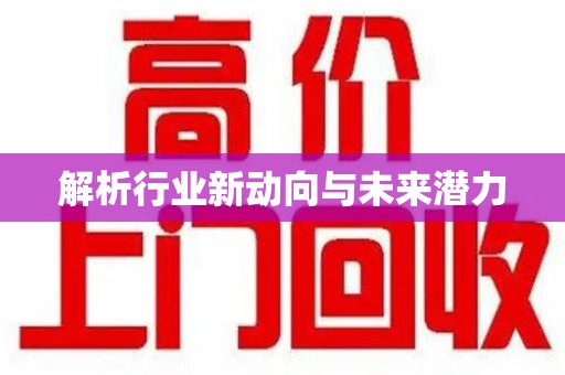 三亚解析行业新动向与未来潜力