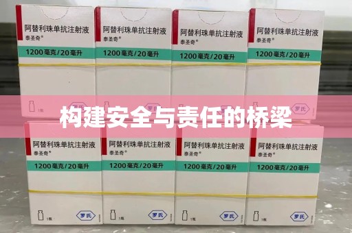 三亚构建安全与责任的桥梁