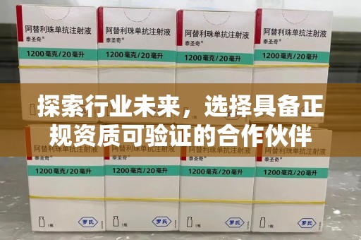 三亚探索行业未来，选择具备正规资质可验证的合作伙伴